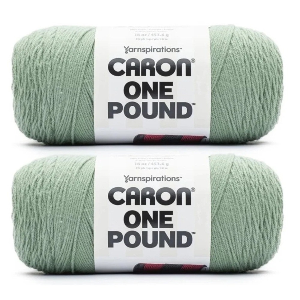 Caron One Pound Yarn 2 Pack Soft Sage Green Acrylic Knitting Crochet 16 oz